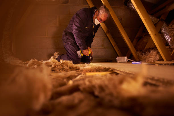 Best Insulation Maintenance and Repair in Bullard, TX